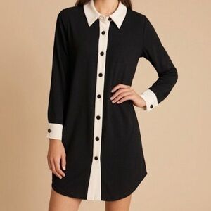 NWT ZARA BUTTON DOWN DRESS LAST ONE: MEDIUM